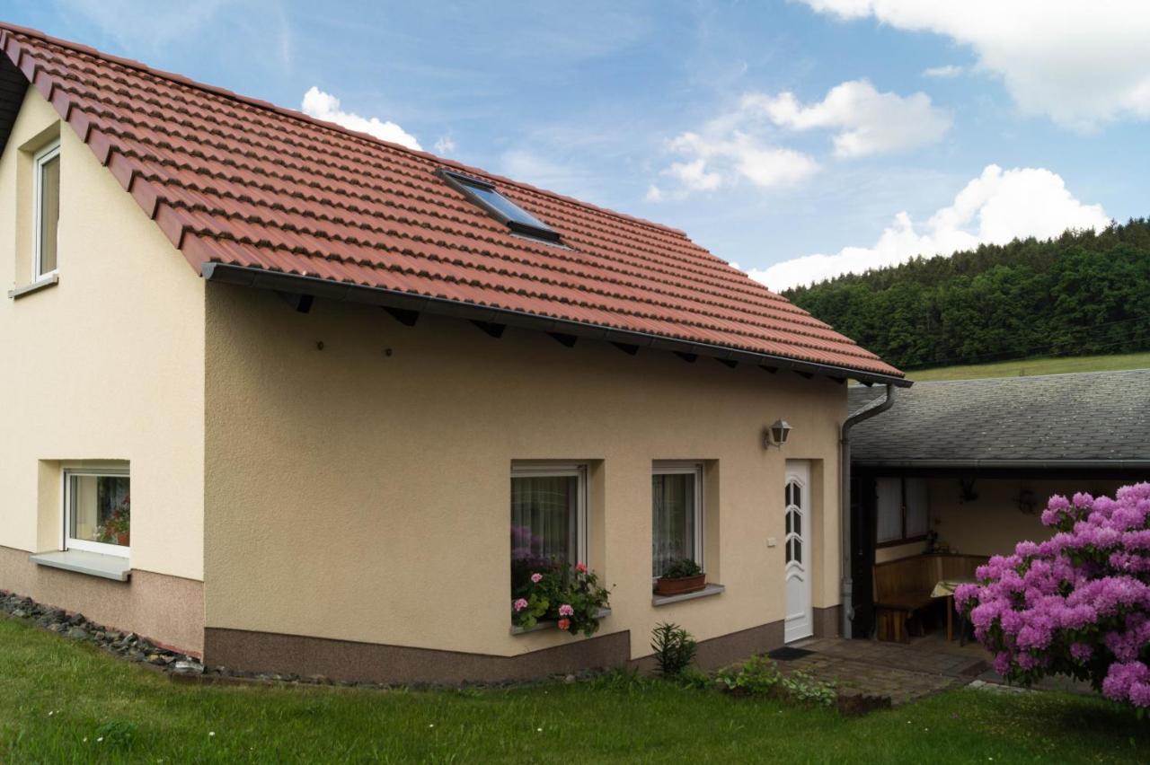 Ferienhaus Fischer Kurort Gohrisch Exterior foto